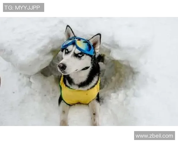 足球明星搞笑瞬间合集那些让人哭笑不得的愚蠢行为视频大盘点 足球明星搞笑瞬间合集那些让人哭笑不得的愚蠢行为视频大盘点